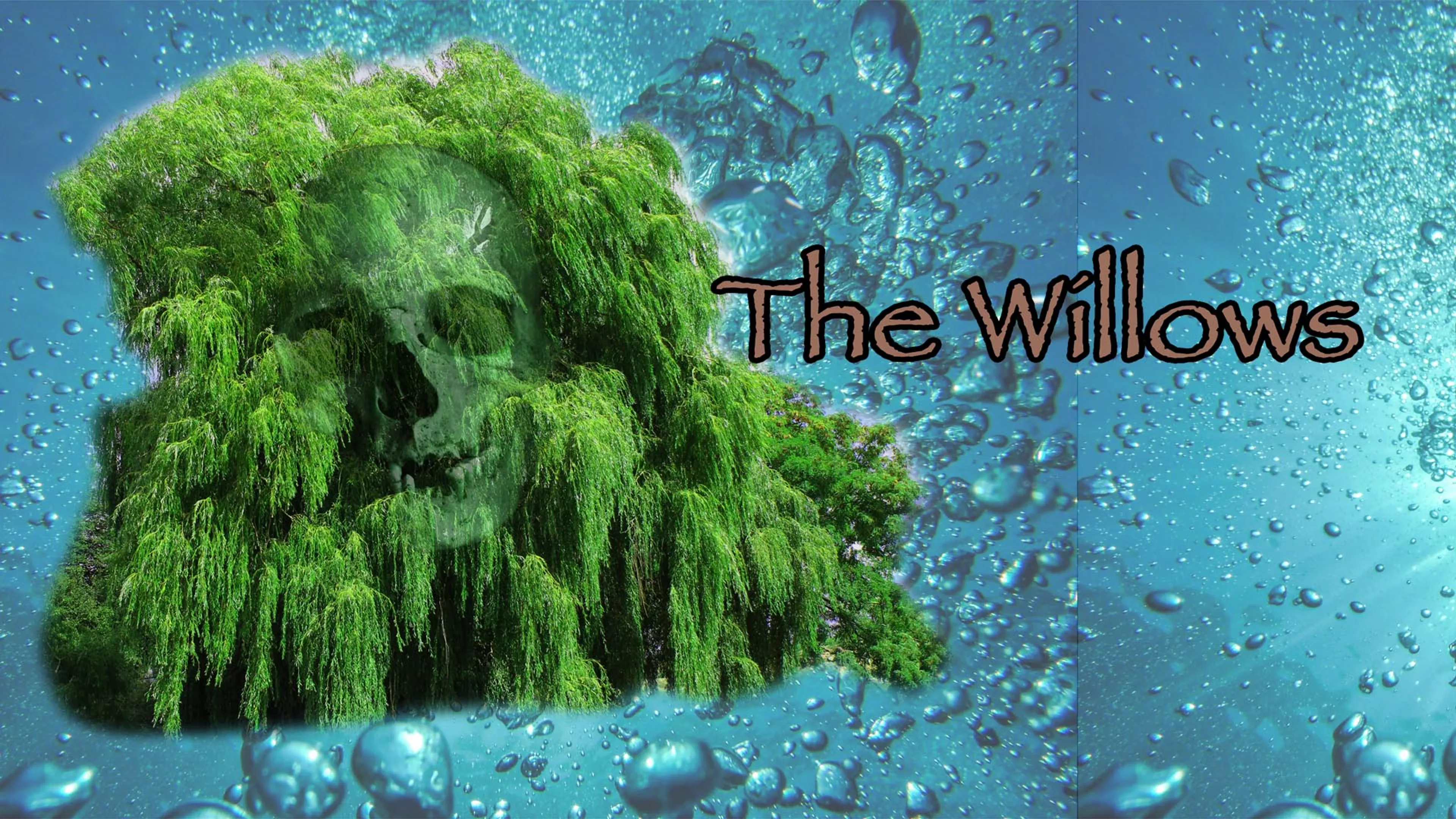 The Willows poster